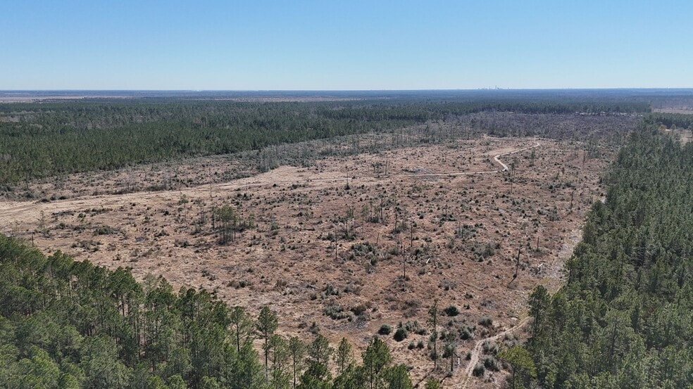 3800 Camp Edgewood rd, Ragley, LA for sale - Building Photo - Image 2 of 5