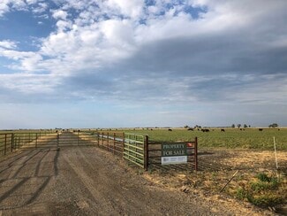 Plus de détails pour Swan Road, Dixon, CA - Terrain à vendre