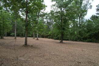 Plus de détails pour 6204 U.S. 190 W w, Livingston, TX - Terrain à vendre