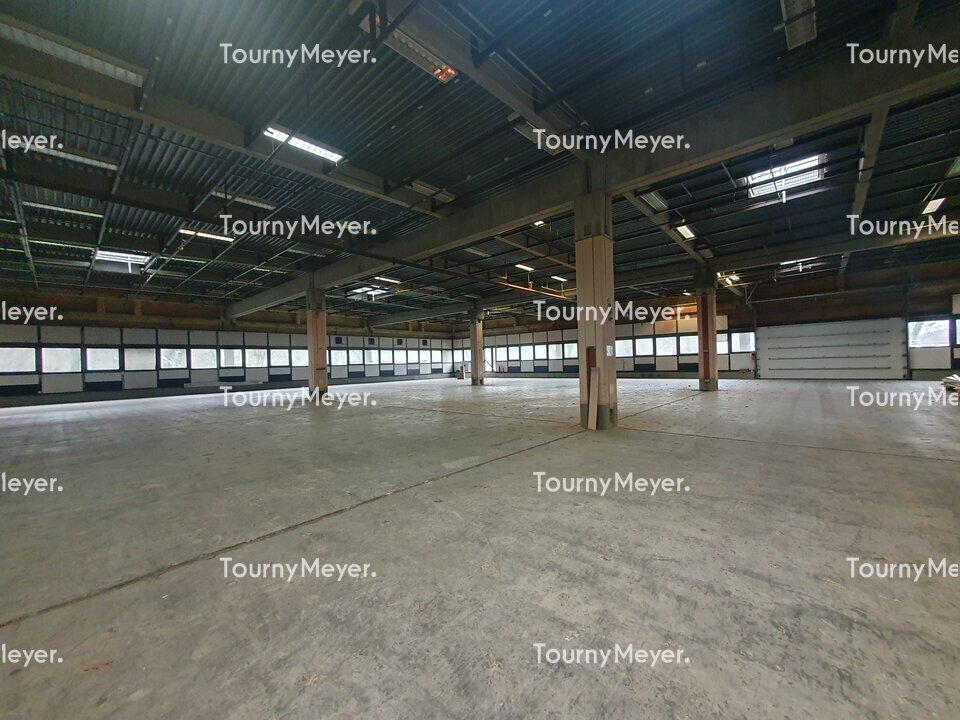 Flex in Canéjan for lease Interior Photo- Image 1 of 8