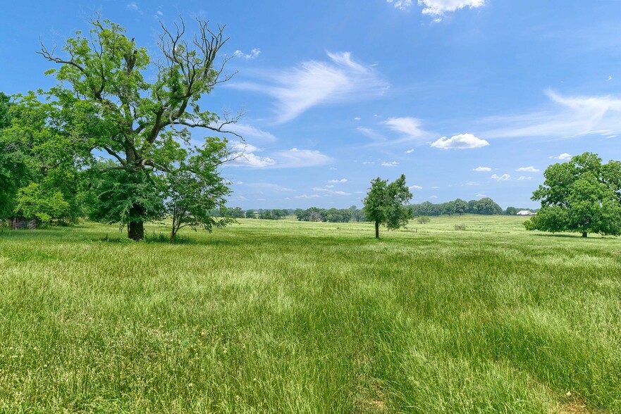 1865 Bones Chapel Rd, Whitesboro, TX à vendre - Photo principale - Image 1 de 16