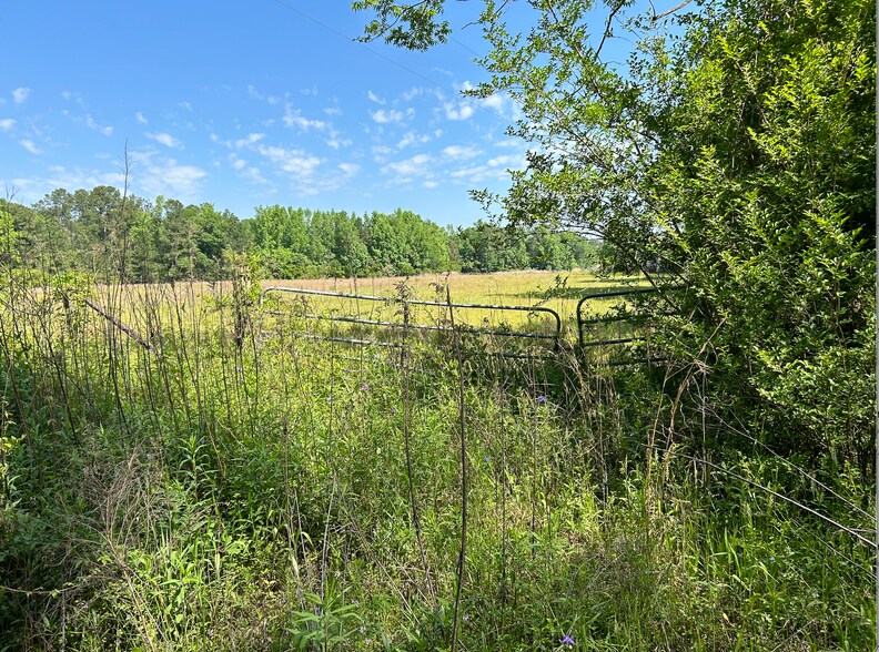 4115 Seed Tick Rd, Ellabell, GA à vendre - Photo du bâtiment - Image 1 de 10