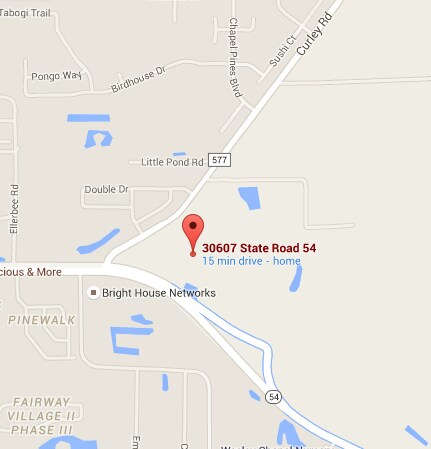 30607 State Road 54, Wesley Chapel, FL à vendre - Photo du bâtiment - Image 2 de 27