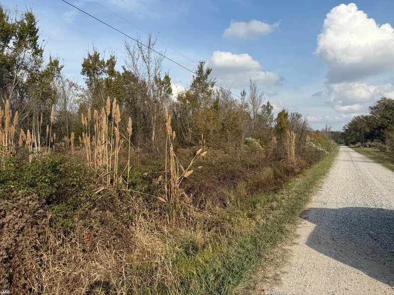 0 Holly Ridge rd, Rayville, LA for sale - Other - Image 2 of 5