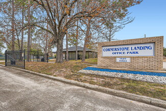 More details for 14423 Cornerstone Village Dr, Houston, TX - Office for Sale