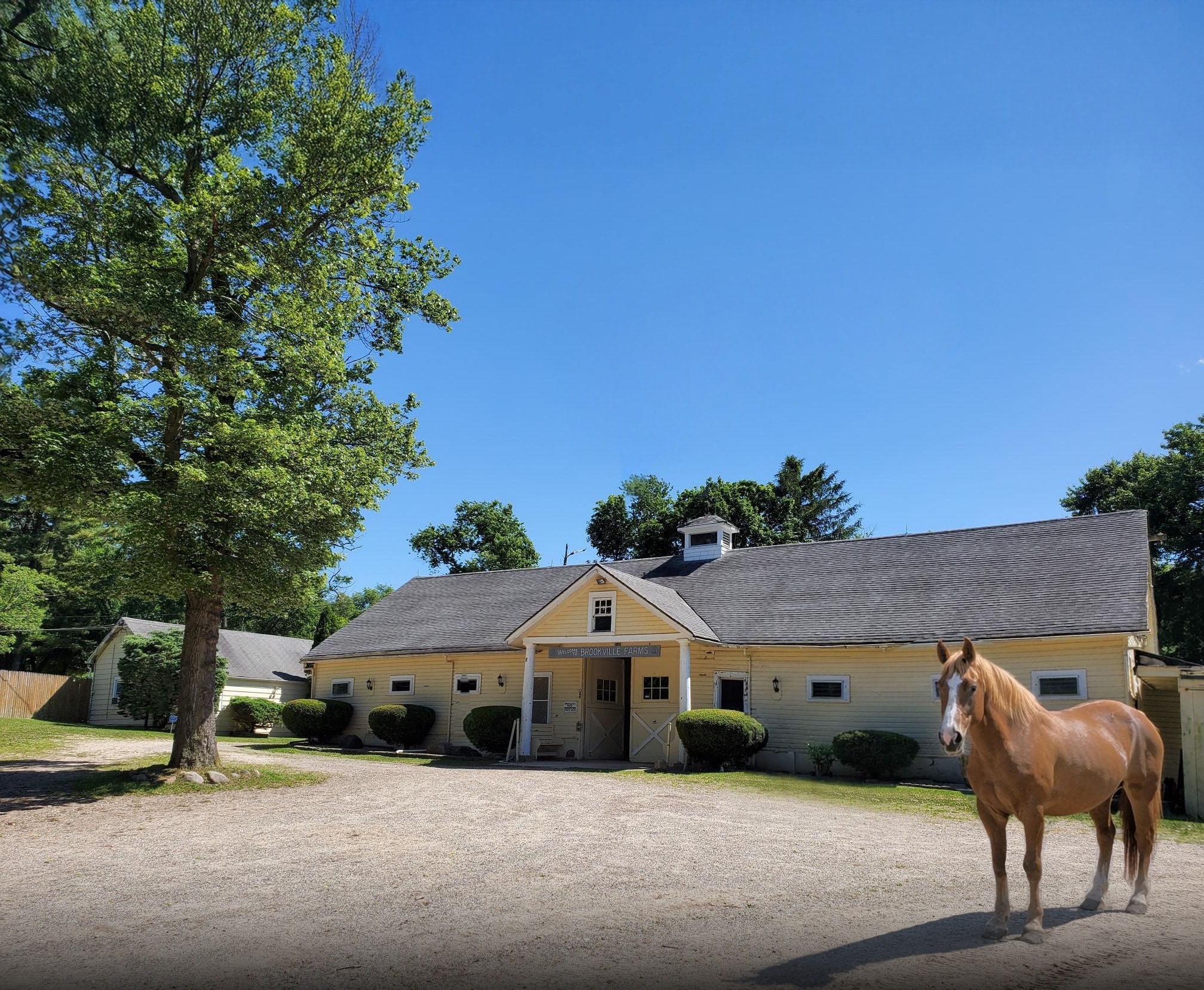 1472 Cedar Swamp Rd, Glen Head, NY for sale Building Photo- Image 1 of 7