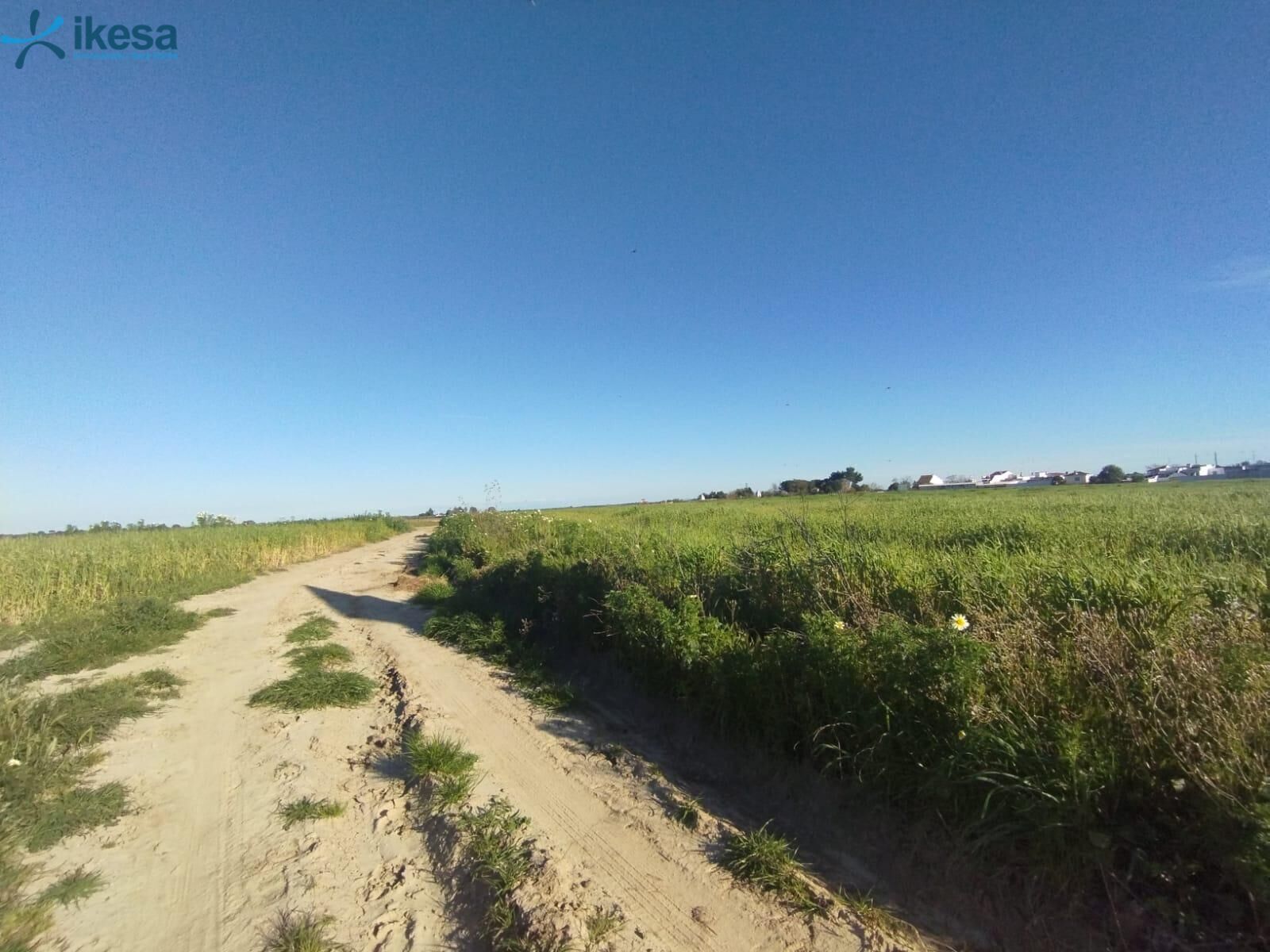 Terrain dans Almonte, Huelva à vendre Plan de site- Image 1 de 12