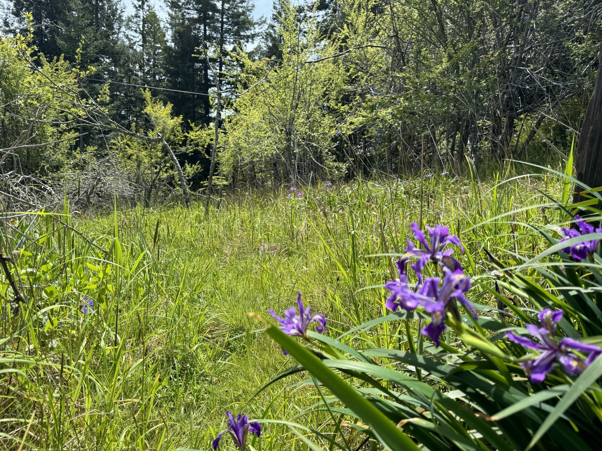 23501 Branscomb Rd, Westport, CA for sale Neighborhood Photo- Image 1 of 17