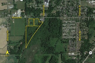 Plus de détails pour Krouse Rd, Owosso, MI - Terrain à vendre