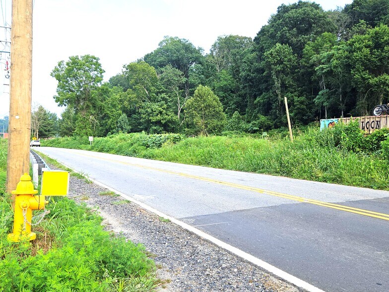 0 Swannanoa River Rd, Asheville, NC for sale - Building Photo - Image 1 of 16