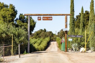 Olea Farm - Vignoble