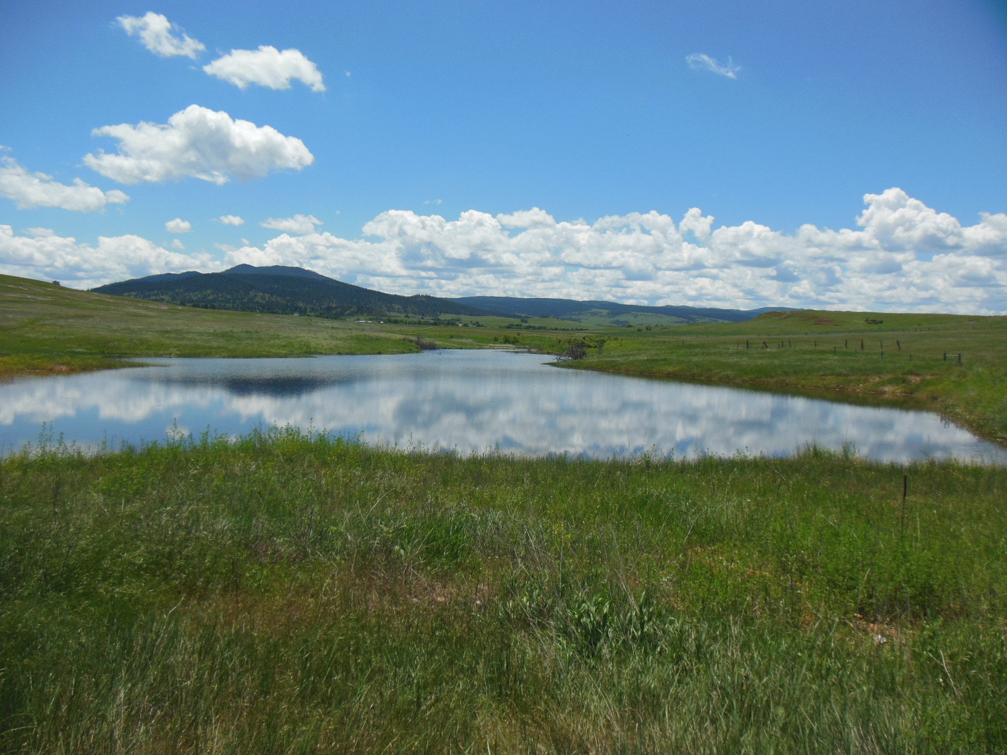 19752 Praire Ridge Rd, Spearfish, SD for sale Primary Photo- Image 1 of 1