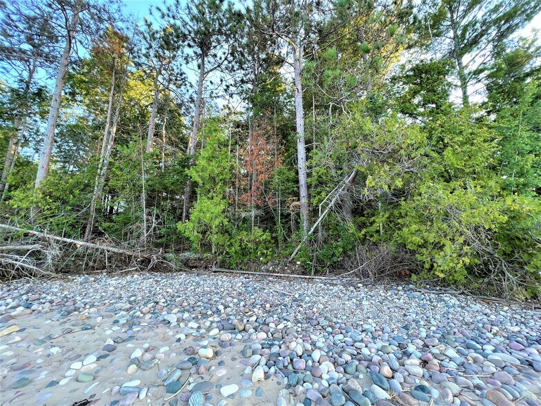 9157 Cordwood, Cheboygan, MI à vendre - Autre - Image 1 de 1