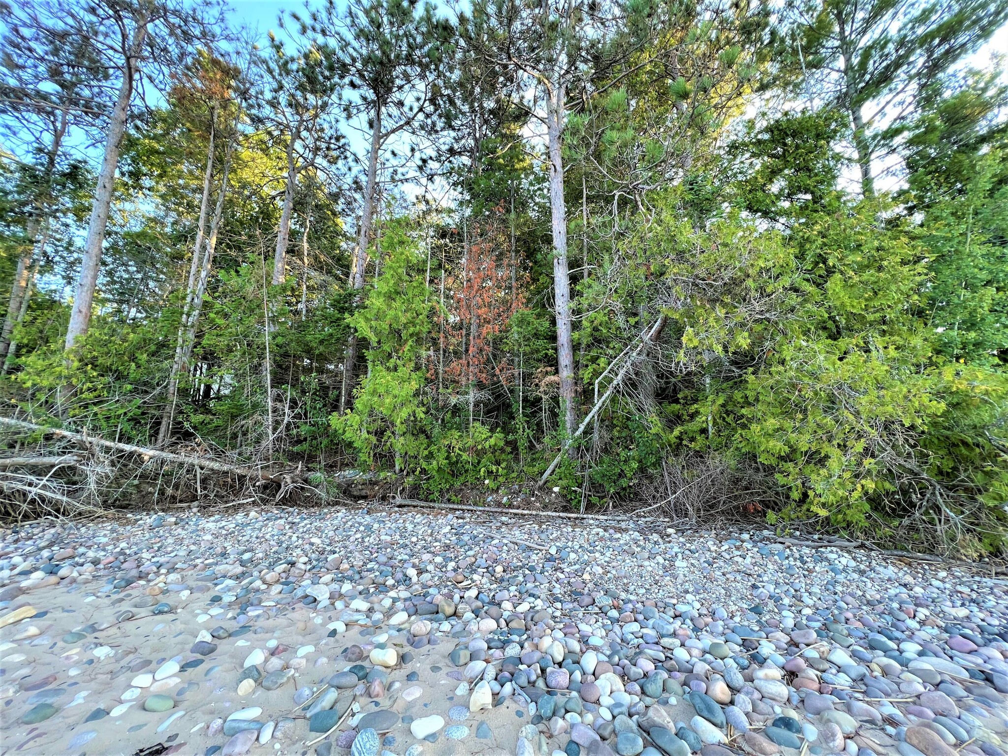 9157 Cordwood, Cheboygan, MI à vendre Autre- Image 1 de 1