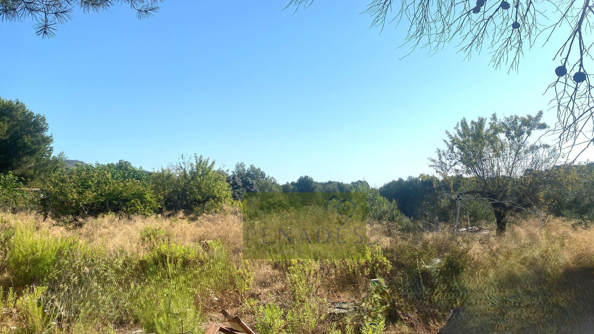 Land in Ontinyent, Valencia for sale Primary Photo- Image 1 of 6