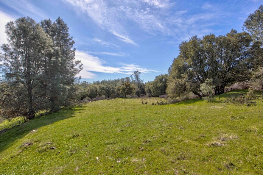 18800 Charleston Rd, Volcano, CA à vendre - Photo du bâtiment - Image 3 de 47