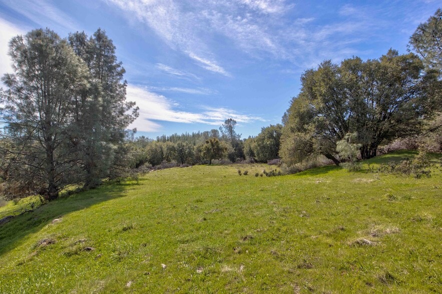 18800 Charleston Rd, Volcano, CA à vendre - Photo du bâtiment - Image 3 de 47