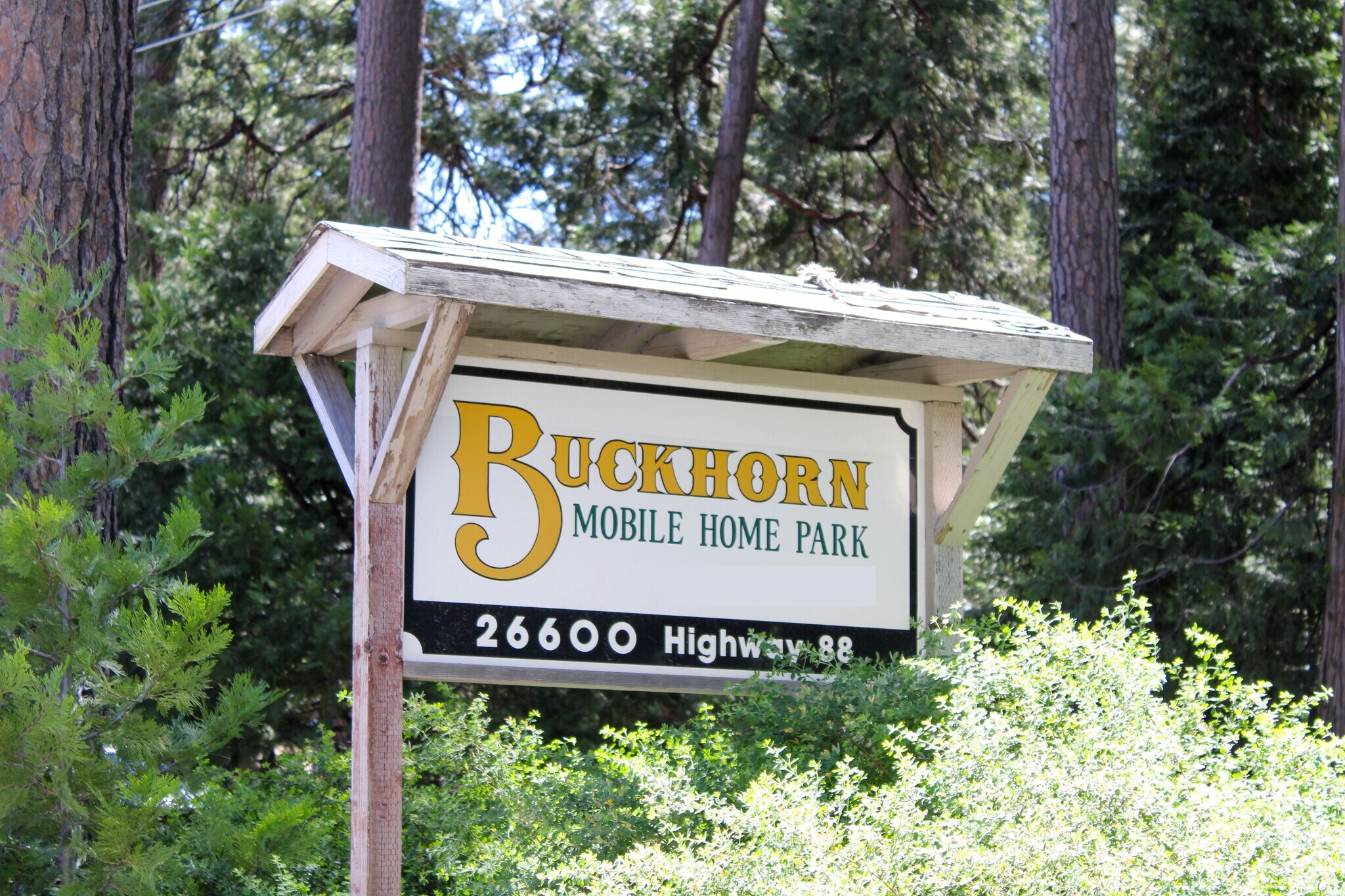 26600 CA-88, Pioneer, CA à vendre Photo principale- Image 1 de 24