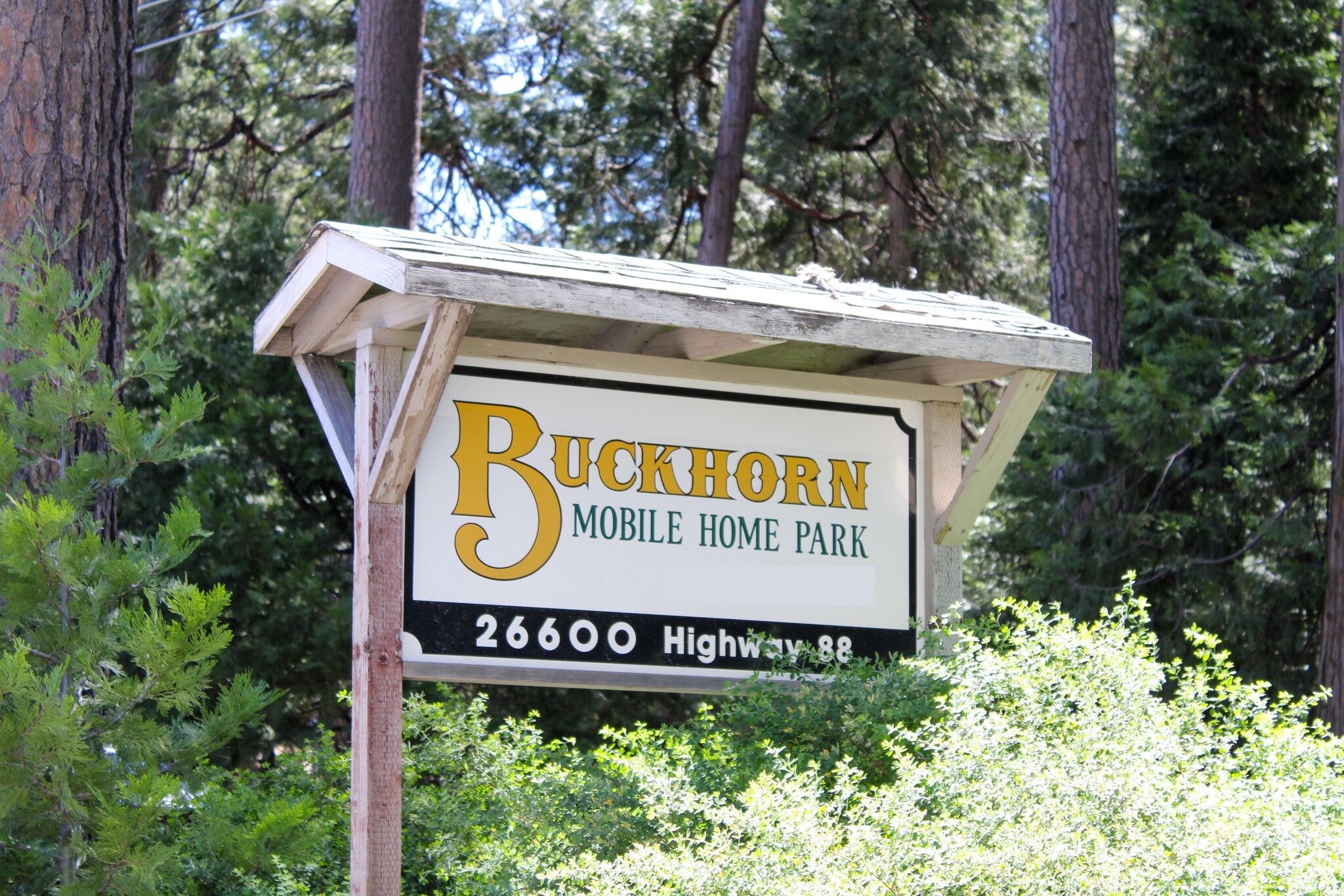 26600 CA-88, Pioneer, CA for sale Primary Photo- Image 1 of 24