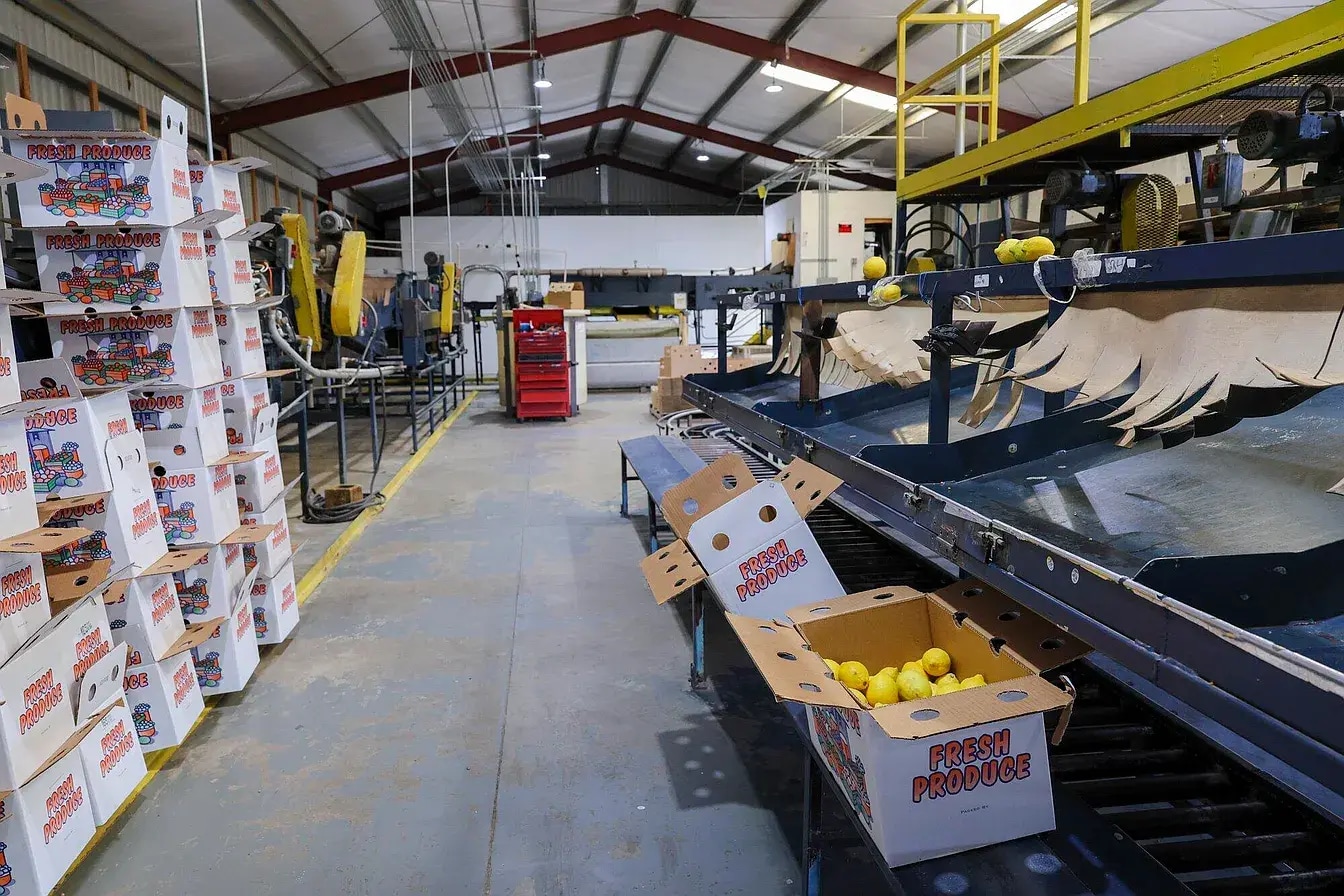 8507 Rd 256, Terra Bella, CA for lease Primary Photo- Image 1 of 8