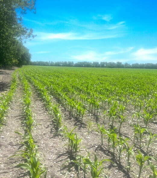 State Highway 53 & Little Flock Road, Temple, TX à vendre - Photo du bâtiment - Image 3 de 4