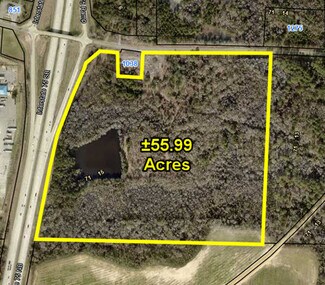 Plus de détails pour 1038 Pinehurst Hawkinsville, Unadilla, GA - Terrain à vendre