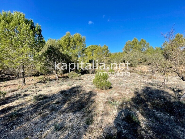 Land in Bocairent, Valencia for sale - Primary Photo - Image 1 of 5