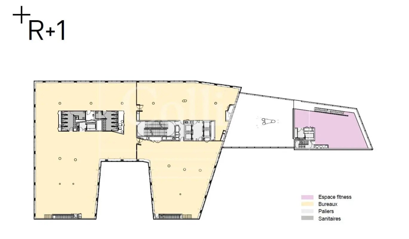 126 Boulevard Macdonald, Paris for lease Floor Plan- Image 1 of 4
