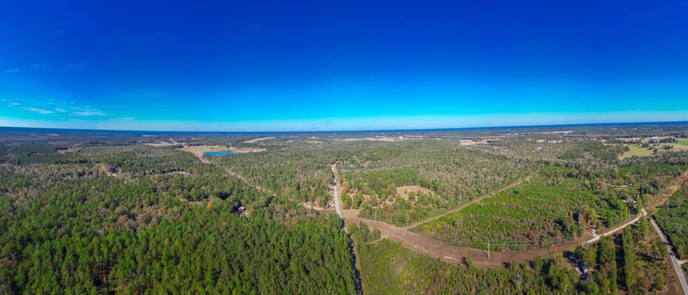 003 Woodland Dr, Wiggins, MS for sale - Aerial - Image 2 of 18