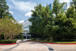 More details for 10055 Grogans Mill Rd, The Woodlands, TX - Office for Lease