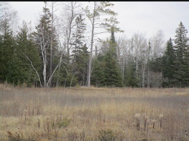 14230 Mackinaw Hwy, Mackinaw City, MI for sale - Other - Image 1 of 2