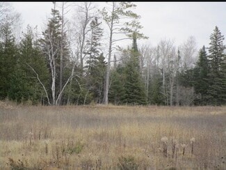 More details for 14230 Mackinaw Hwy, Mackinaw City, MI - Land for Sale