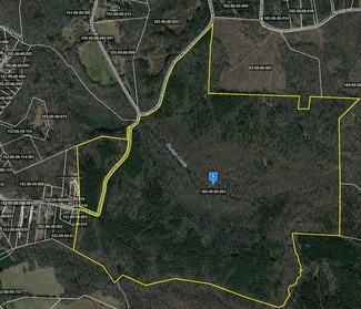 Plus de détails pour Park Rd, Fountain Inn, SC - Terrain à vendre