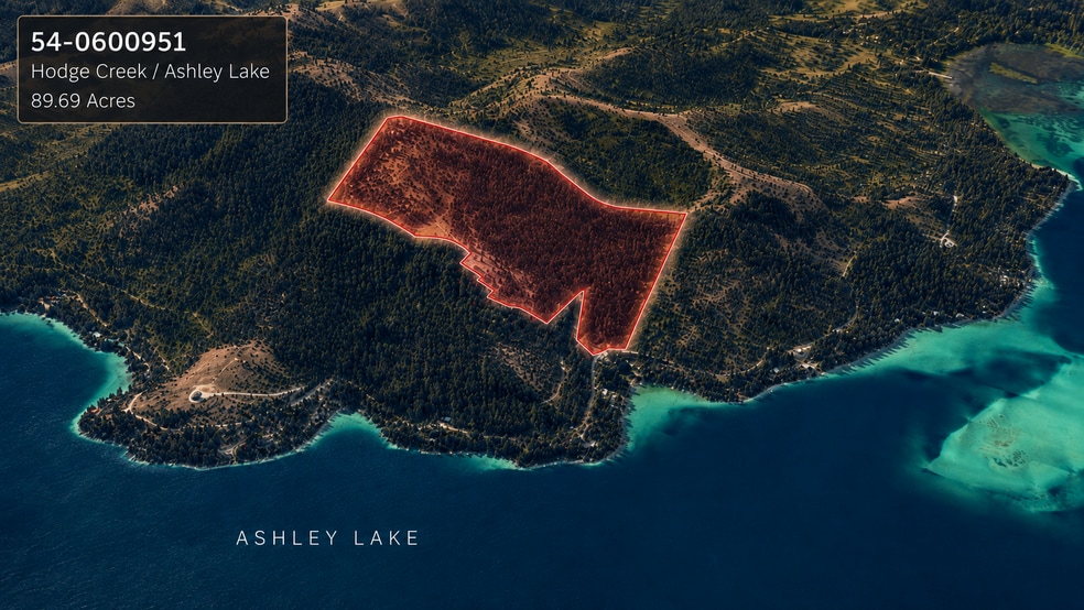 Hodge Creek Timberland Near Ashley Lake, Kalispell, MT for sale - Aerial - Image 1 of 5