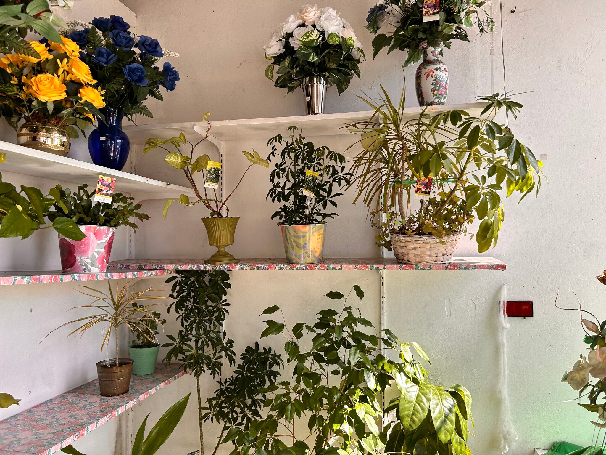 915 E Julian St, San Jose, CA à vendre Photo du bâtiment- Image 1 de 1