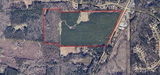 More details for 119.29 Acres Highway 36, Jackson, GA - Land for Sale