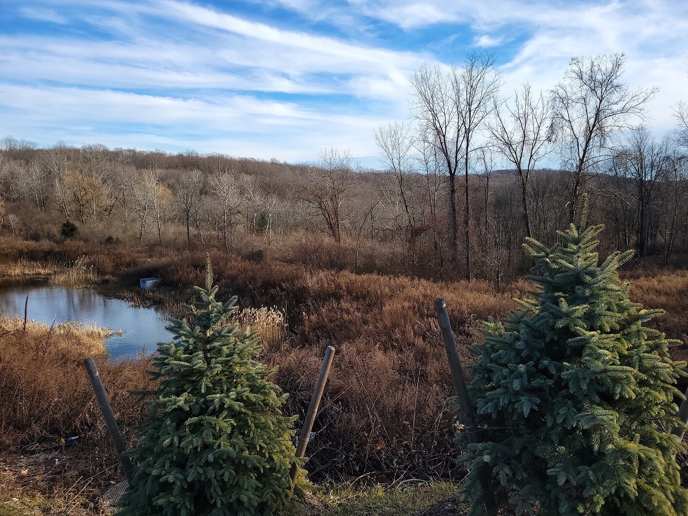 228 Mahopac Ave, Somers Township, NY à vendre Photo principale- Image 1 de 7