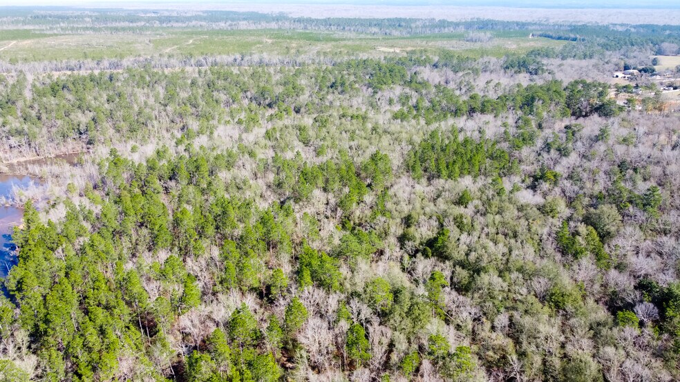 800 McKenzie Rd, Cantonment, FL à vendre - Photo du bâtiment - Image 2 de 22