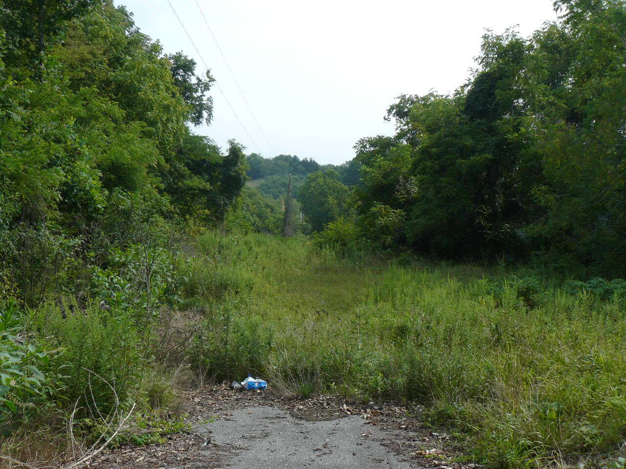 2.38 Acres US Hwy. 25E Hwy, Tazewell, TN à vendre Autre- Image 1 de 4