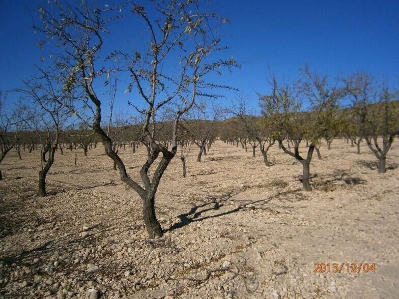 Terrain dans MURCIA à vendre - Photo principale - Image 1 de 6