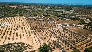 Plus de détails pour Polígono Pp Zb, 16, Murcia - Terrain à vendre