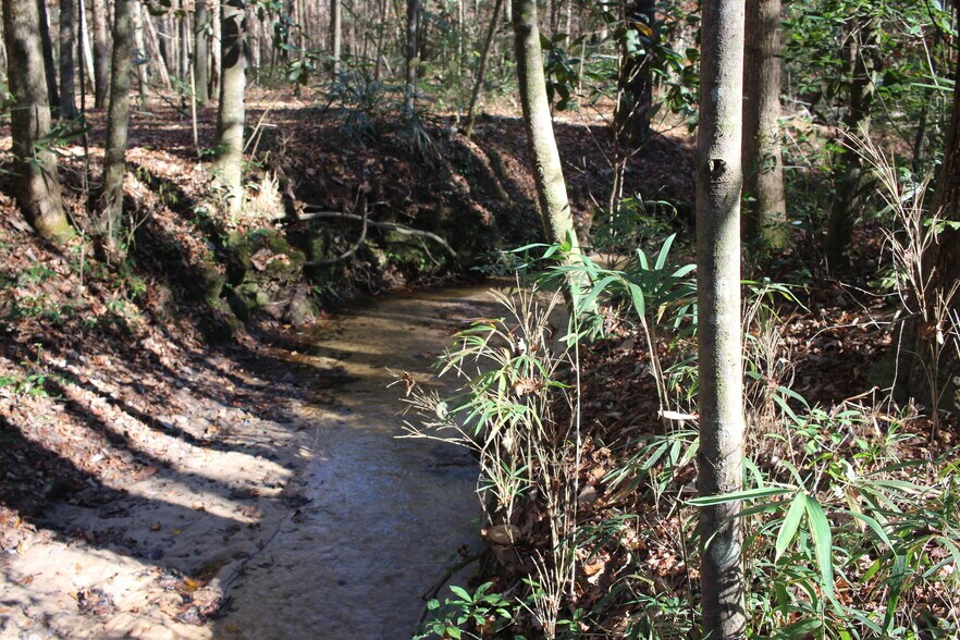 4433 Pat Thomas Pky, Quincy, FL à vendre - Photo du bâtiment - Image 2 de 42