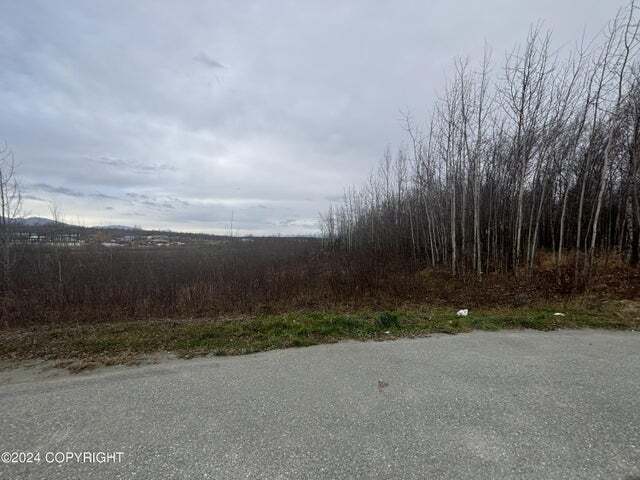 L3B-1 S Lamont Circle, Wasilla, AK à vendre - Autre - Image 2 de 11