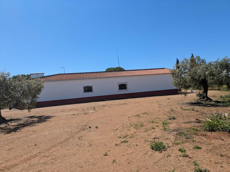 Land in Solana de los Barros, Badajoz for sale - Building Photo - Image 3 of 14