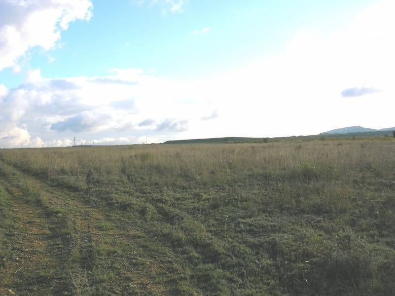 Terrain dans Yecla, Murcia à vendre Photo du bâtiment- Image 1 de 2