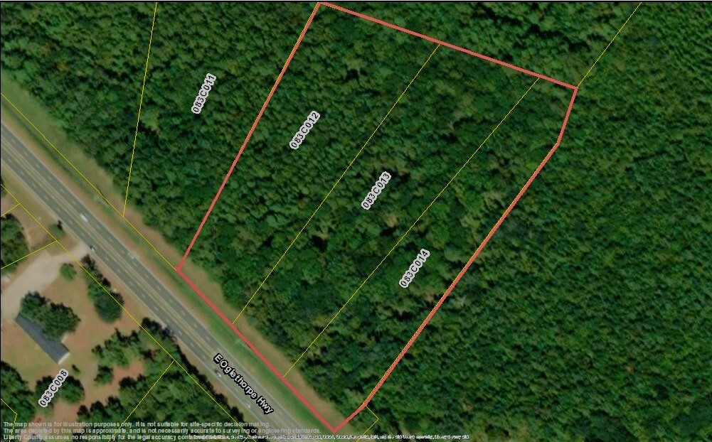 12.11 Acres E Oglethorpe Hwy, Fleming, GA à vendre Aérien- Image 1 de 3
