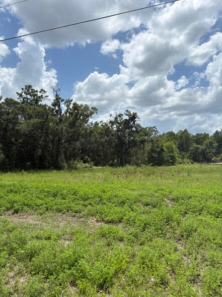 4909 Paul Buchman Hwy, Plant City, FL for lease - Building Photo - Image 3 of 3