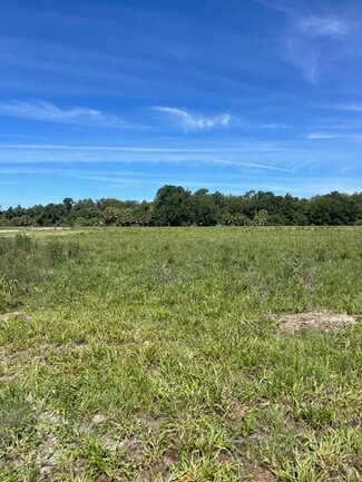 More details for Lake Ferns Road, Umatilla, FL - Land for Sale