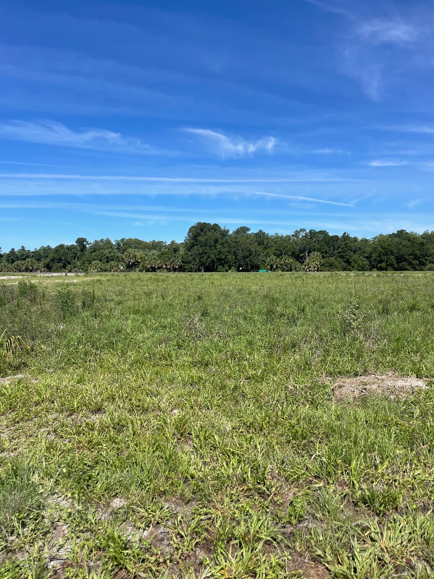 Lake Ferns Road, Umatilla, FL for sale Construction Photo- Image 1 of 7