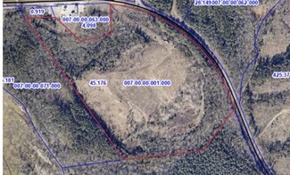 Plus de détails pour 4399 Pinckney Rd, Chester, SC - Terrain à vendre